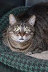 Sabrina - Photo 1