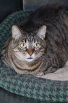 Sabrina - Photo 3