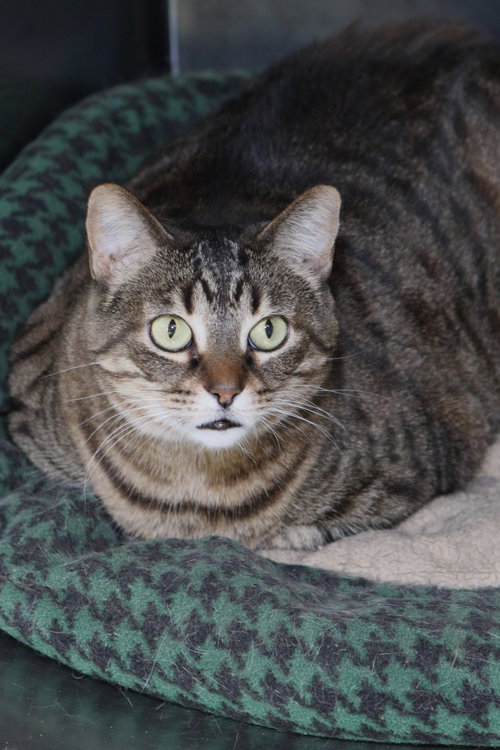 Photo 3 of Sabrina