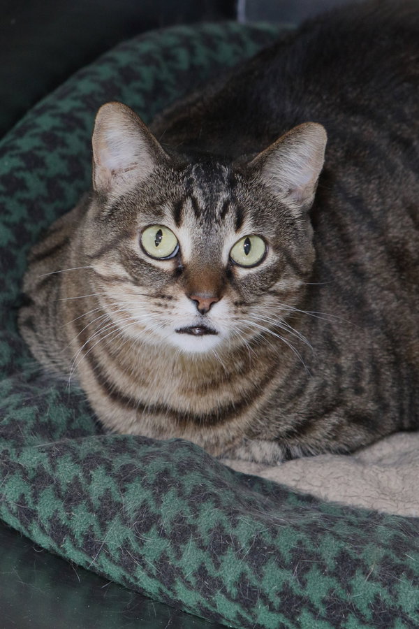 Sabrina