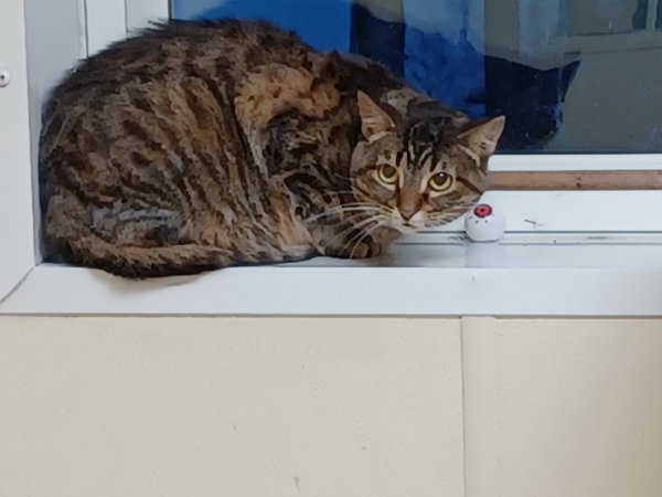 Sabrina