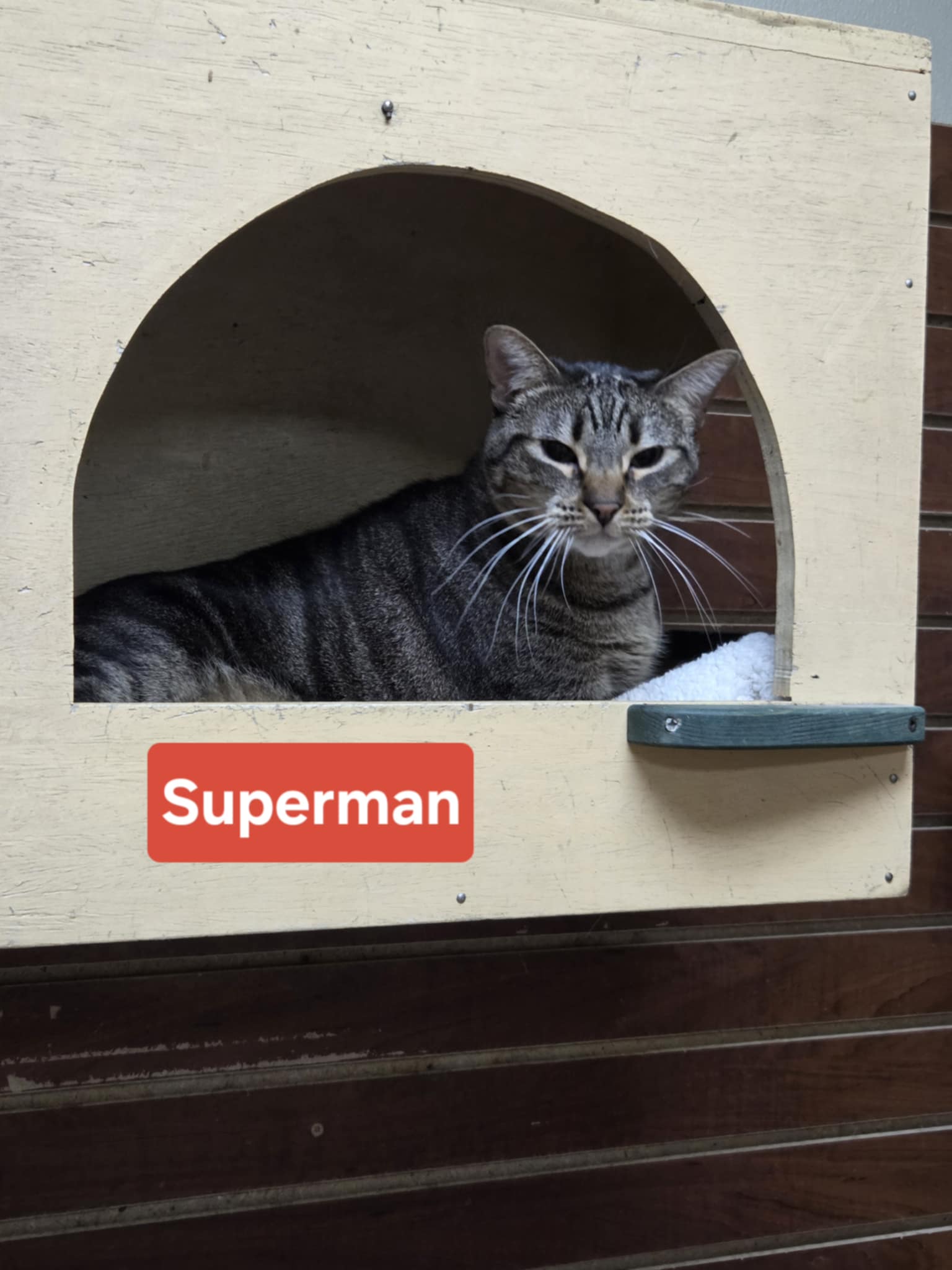 Superman