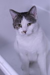 Hickory - Photo 1