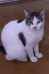 Hickory - Photo 10