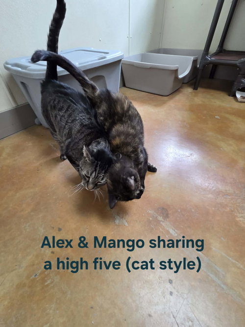 Alex photo 10