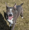 Rowen (long-term resident/sponsored fee) - Photo 1