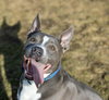 Rowen (long-term resident/sponsored fee) - Photo 2