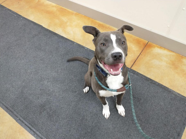 Rowen (long-term resident/sponsored fee)