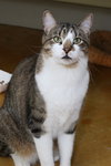 Billy - Photo 2