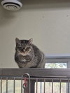 Middy - Photo 7