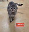 Theresa - Photo 12