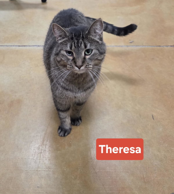 Theresa