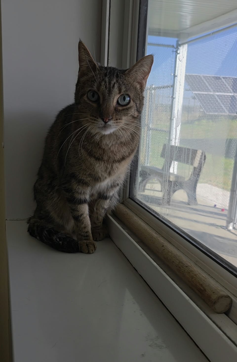 Gabby, photo 6