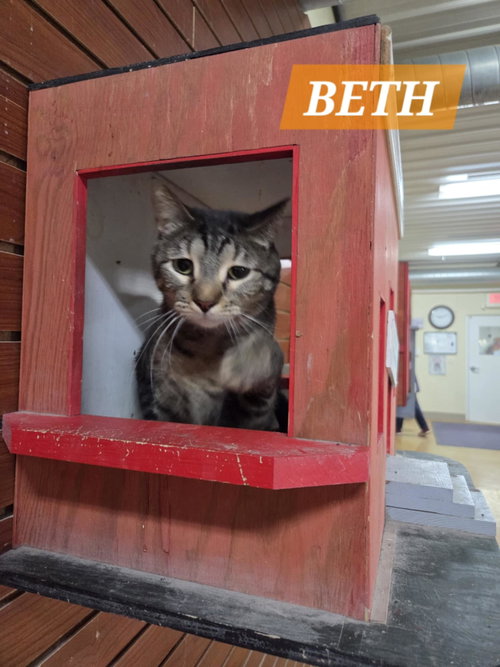 Photo 3 of Beth