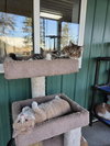 Hudson - Photo 5