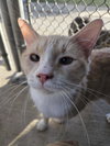 Hudson - Photo 6