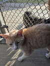 Hudson - Photo 7