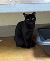 Moe - Photo 3