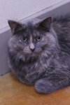Myla - Photo 7