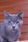Moxie - Photo 1