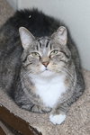 Tami - Photo 11