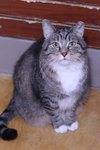 Tami - Photo 5