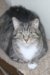 Tami - Photo 12