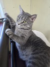 Franklin - Photo 6