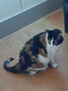 Molly - Photo 7