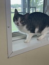 Jimbo - Photo 4