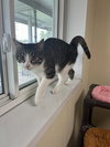 Jimbo - Photo 5