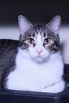 Jimbo - Photo 2