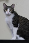Jimbo - Photo 3