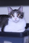 Jimbo - Photo 7