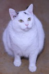Ida - Photo 7