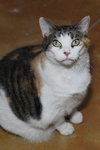 Wanda - Photo 3