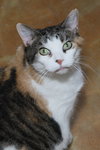 Wanda - Photo 1
