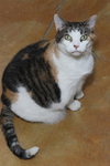 Wanda - Photo 9
