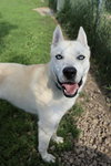 Bram - Photo 2