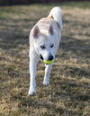 Bram - Photo 3