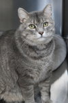 Otto - Photo 5