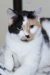Taz - Photo 10