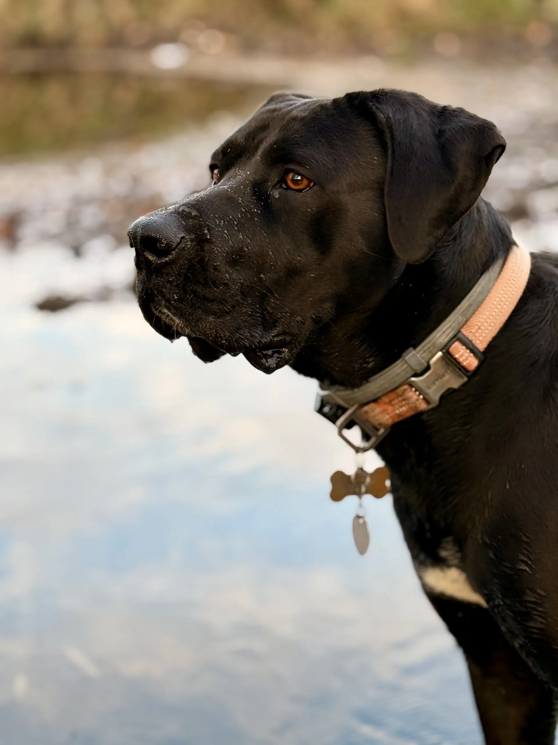 Tula image 2