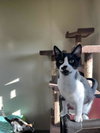 Eli - Photo 2