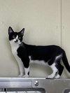 Nellie - Photo 2