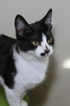 Nellie - Photo 4