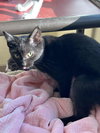 Hades - Photo 3