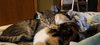 Doug - Photo 6