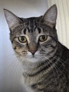 Doug - Photo 1