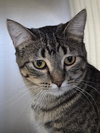 Doug - Photo 5